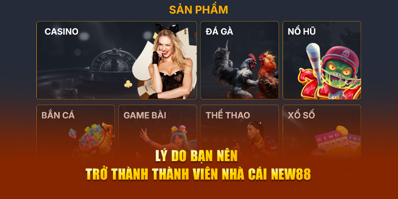 Lý do bạn nên trở thành thành viên nhà cái New88